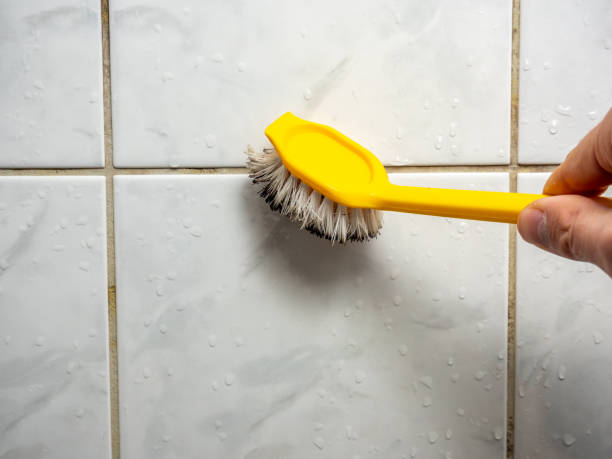 Best Mold Cleaning Services  in Decatur, IL