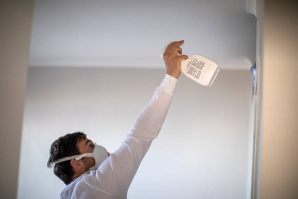 Best Local Mold Removal Service  in Decatur, IL